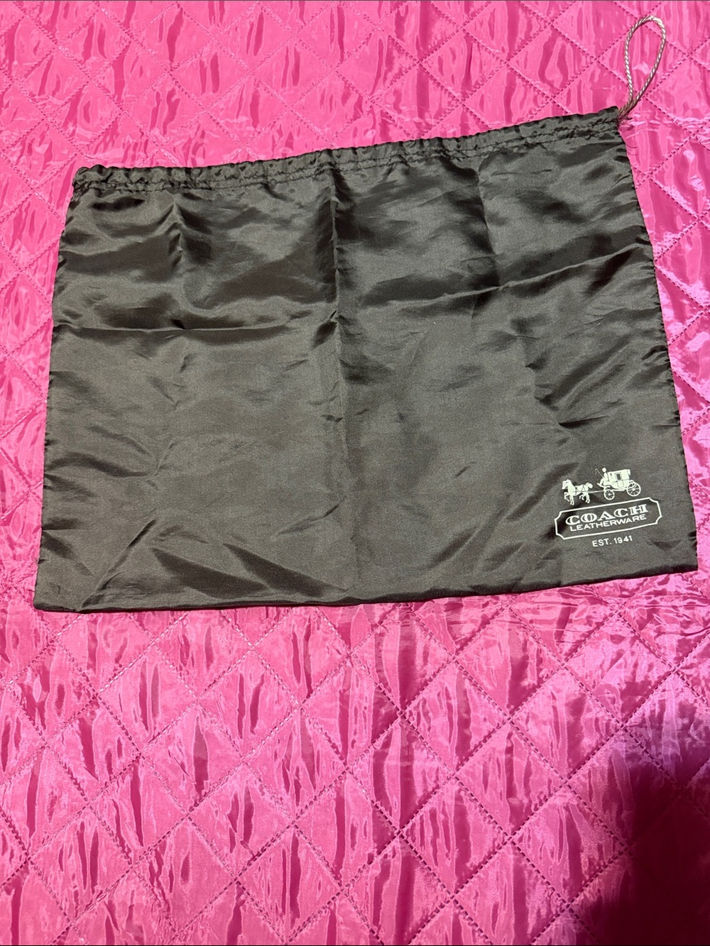 Coach Satin Dust Bag